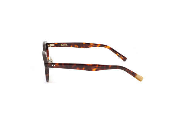 B0043 HAVANA / M.GRY – BLANC..ONLINE STORE