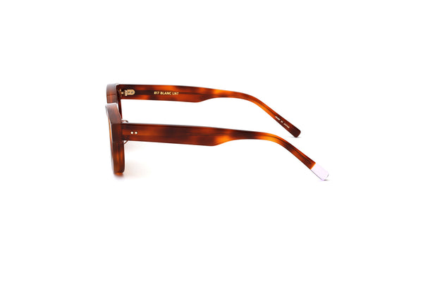 blanc.. サングラス　ORANGE HAVANA / M.GRY BE001 - ORANGE HAVANA / M.GRY – BLANC..ONLINE STORE