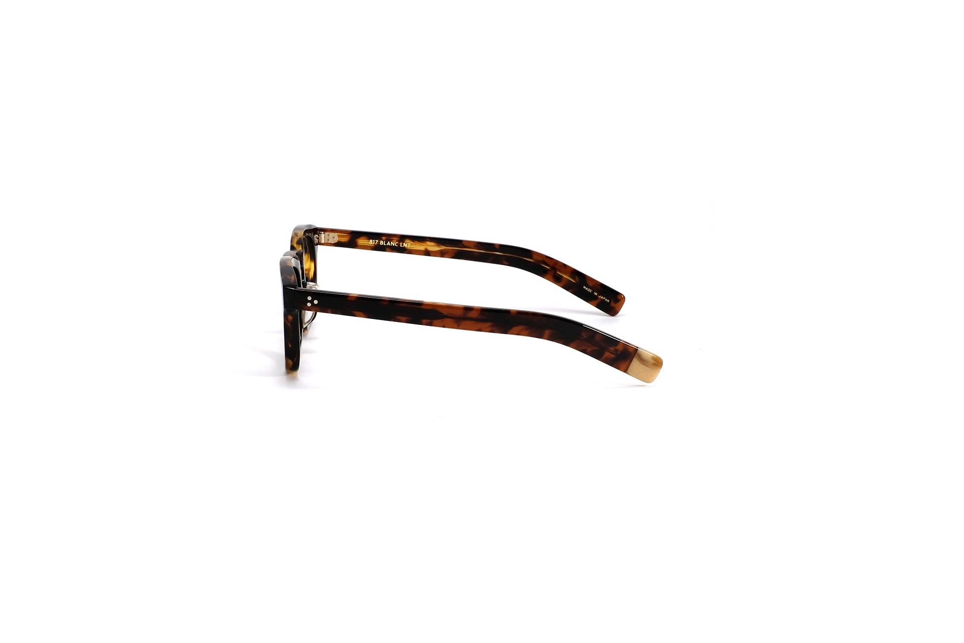 BE011 BRN HAVANA / CLR – BLANC..ONLINE STORE