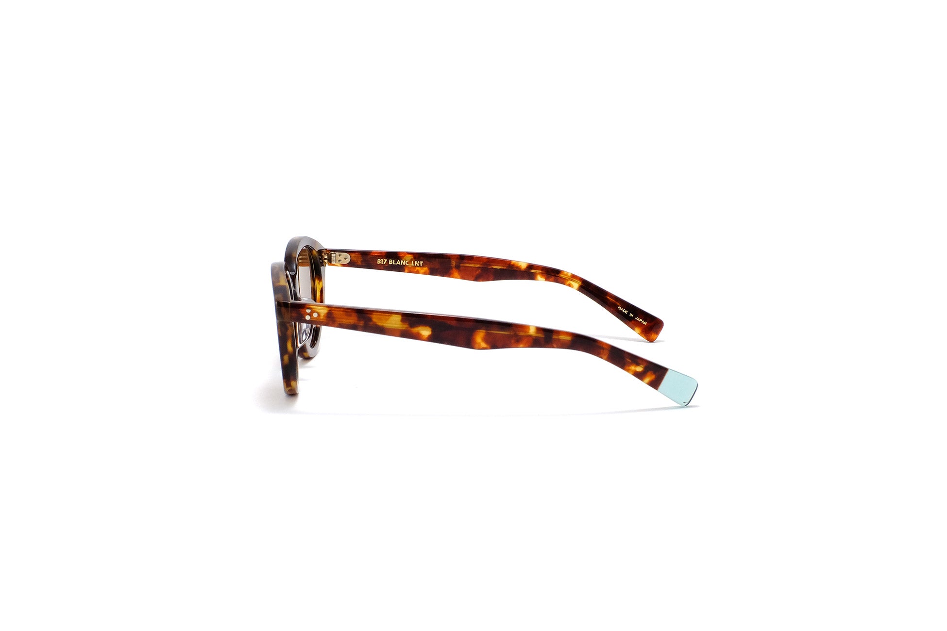 BE019 HAVANA / CLR – BLANC..ONLINE STORE